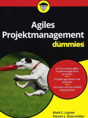 Agiles Projektmanagement für Dummies